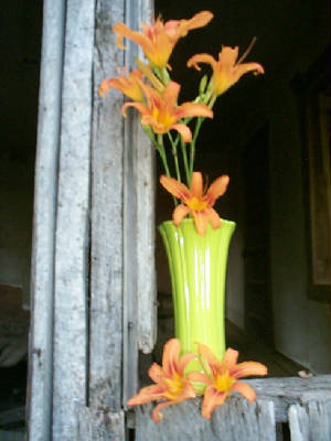 Lilies Chart. Fiesta Vase 