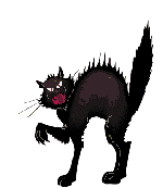 Black Kitty
