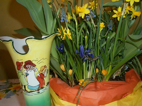 Early Forced Spring Bulbs