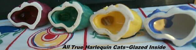 hcatis.jpg