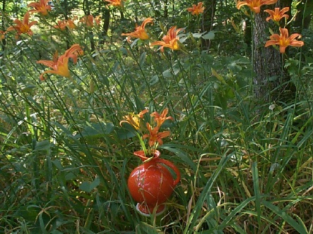 Vint. Red Fiesta Carafe Field of Lilies